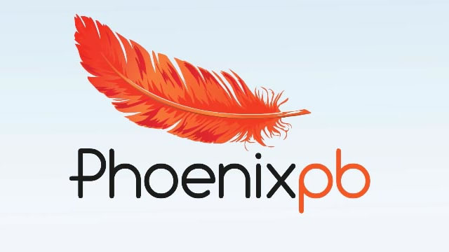 PhoenixPB Explainer video voice
