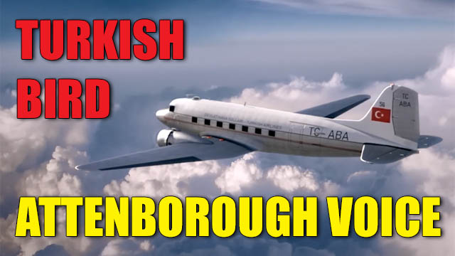 turkish-bird-attenborough-voice