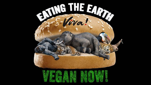 vegan-film-voiceover